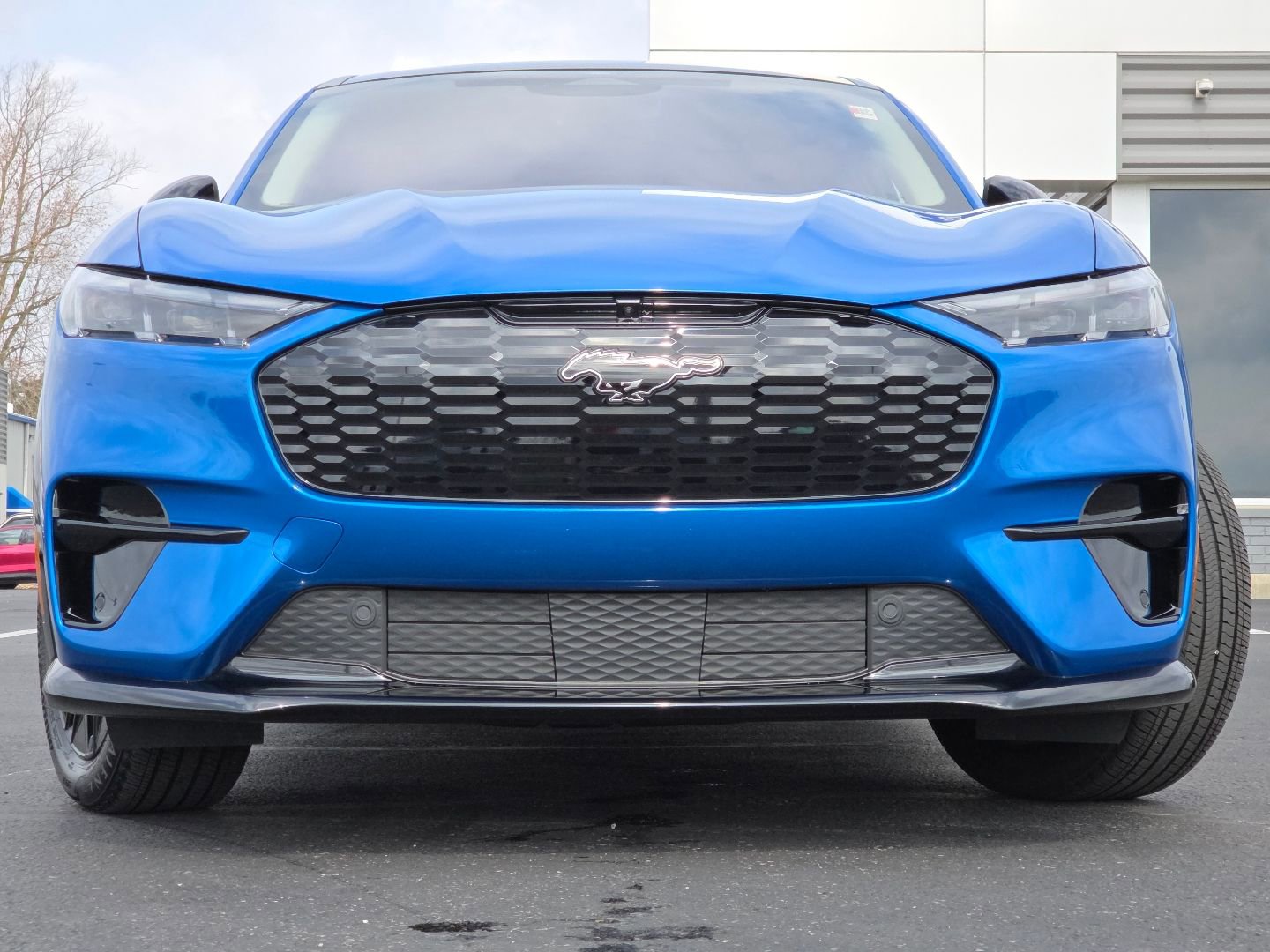 Used 2025 Ford Mustang Mach-E Premium w/ Sport Appearance Package image 13