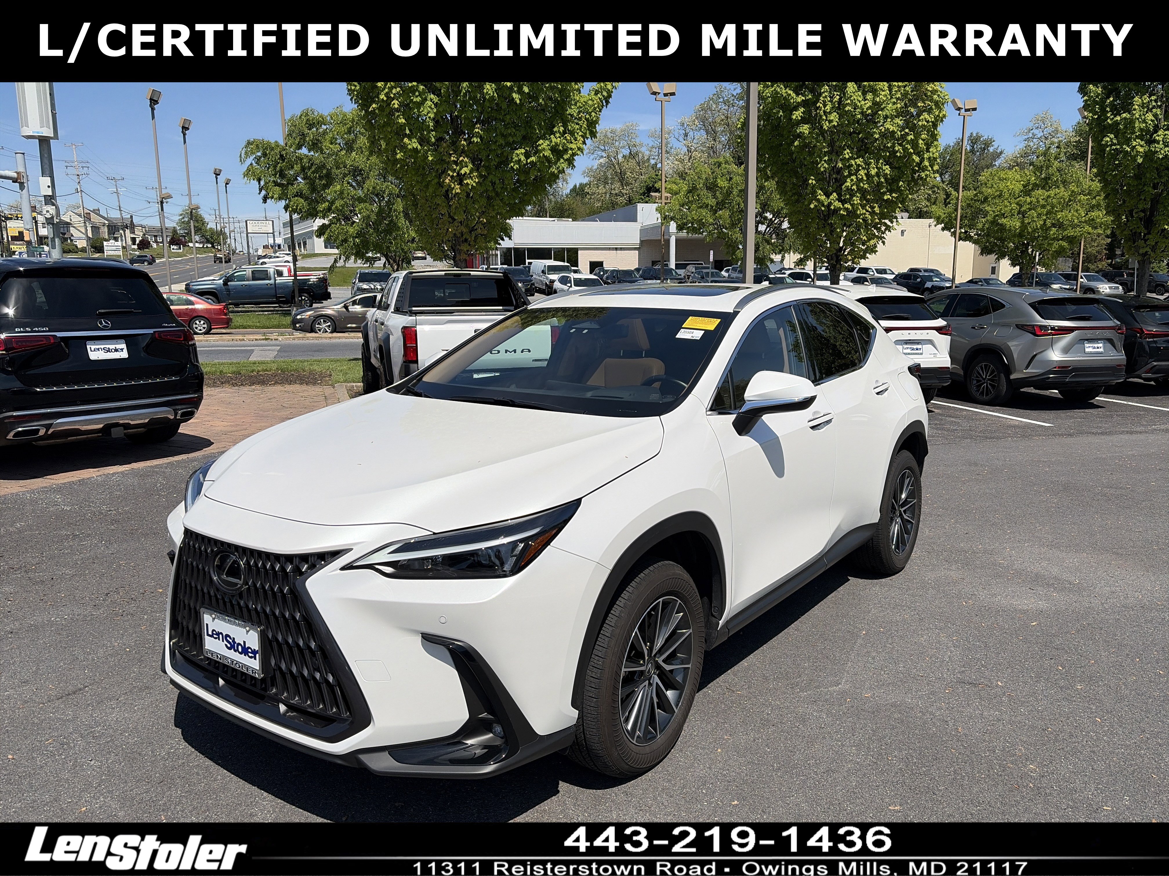 Used 2024 Lexus NX 350h AWD