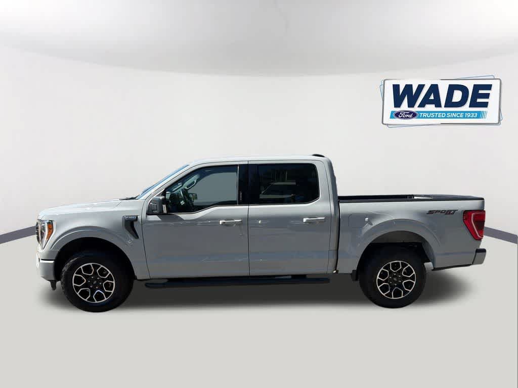 Used 2023 Ford F150 XLT w/ Equipment Group 302A High AWD/4WD image 8