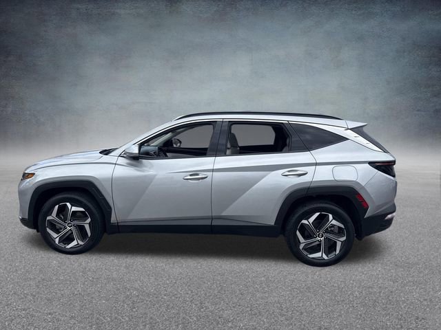 Used 2023 Hyundai Tucson Limited AWD/4WD image 13