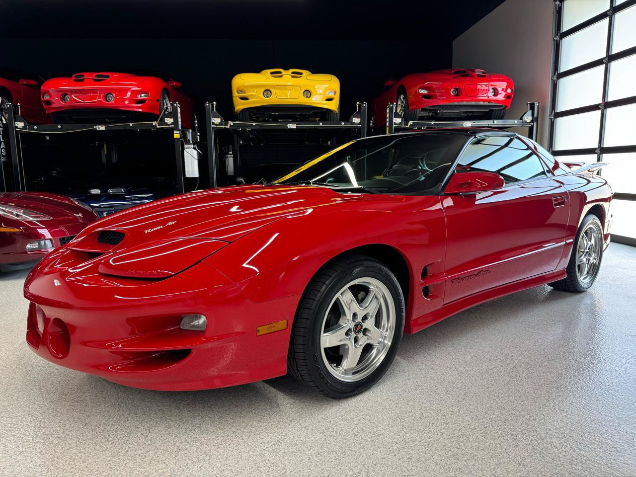 Used 2002 Pontiac Firebird Trans Am RWD image 4