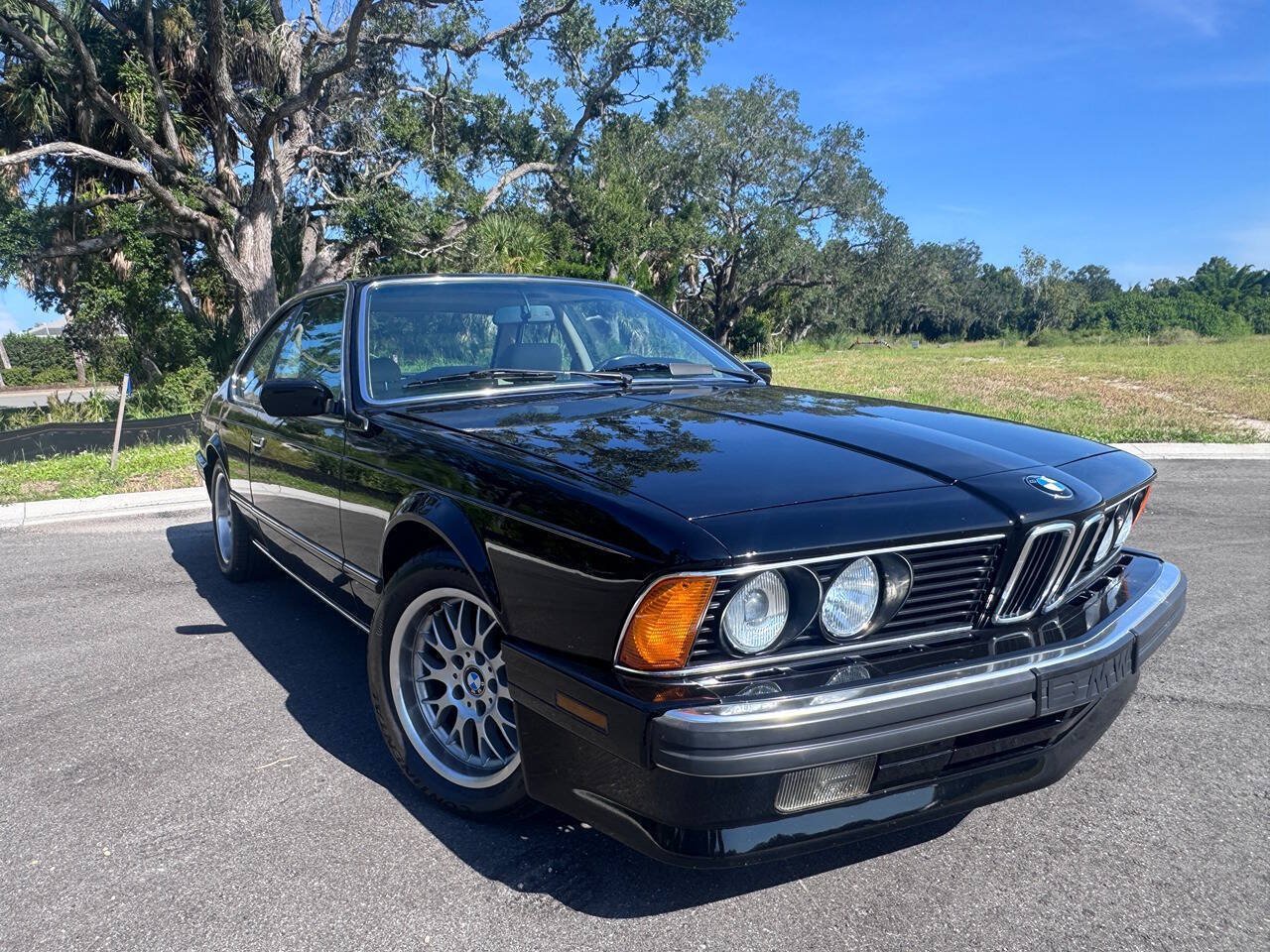 Used 1988 BMW 635CSi Coupe RWD image 13
