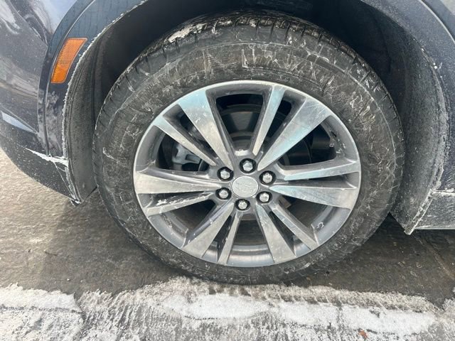 Used 2024 Cadillac XT5 Premium Luxury image 12