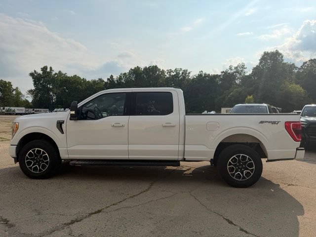 Used 2023 Ford F150 XLT w/ Equipment Group 302A High AWD/4WD image 8