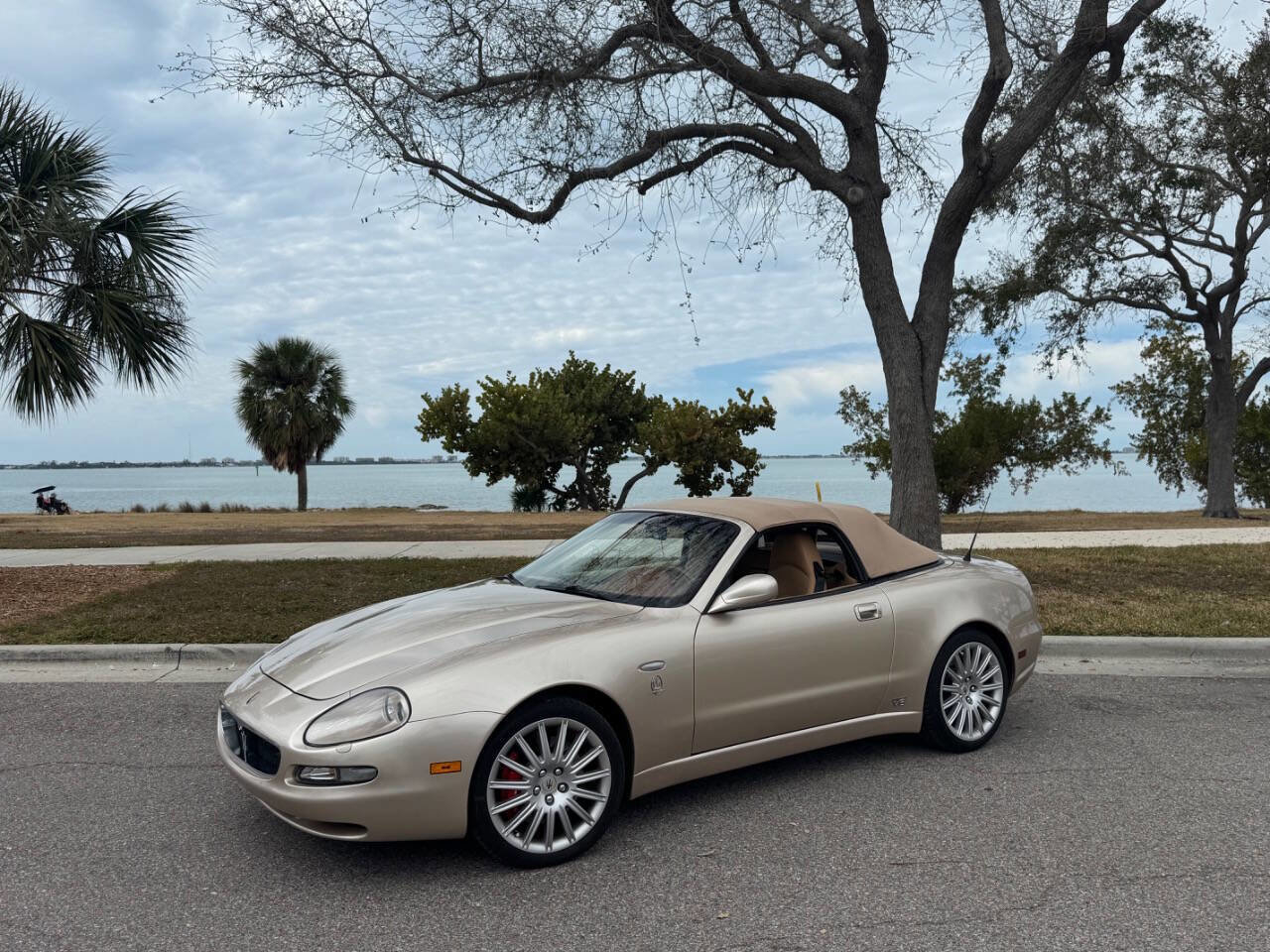 Used 2002 Maserati Spyder Cambiocorsa image 3