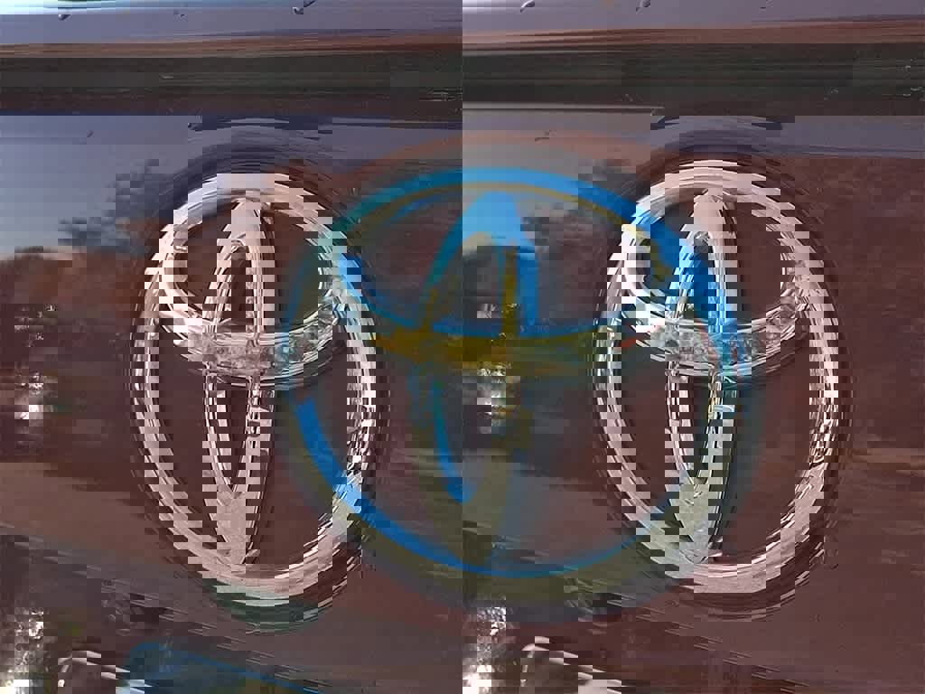 Used 2019 Toyota RAV4 Adventure image 28