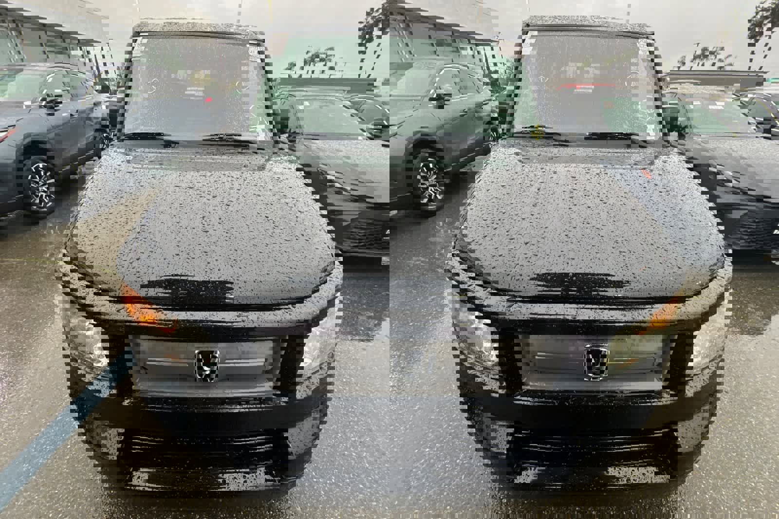 Used 2007 Honda Element SC image 6