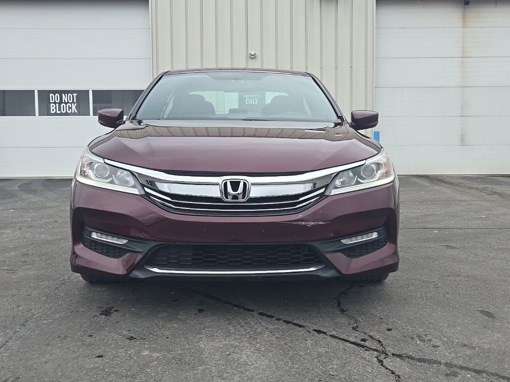 Used 2017 Honda Accord Sport Special Edition image 2