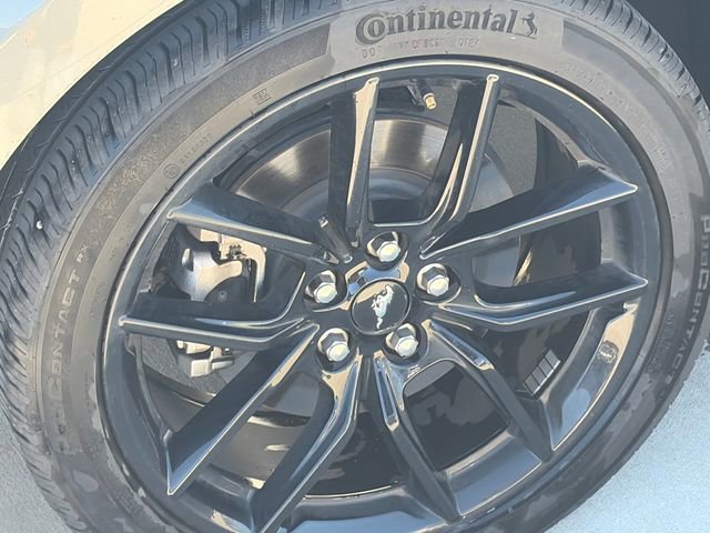 Used 2024 Ford Mustang EcoBoost w/ Mustang Nite Pony Package image 11