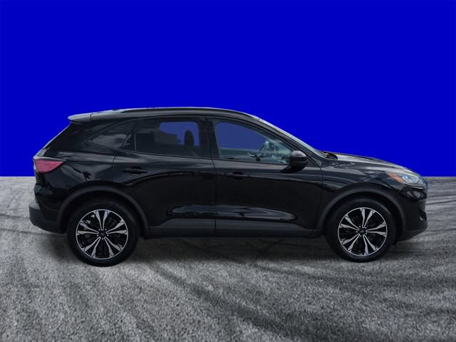 Certified 2022 Ford Escape SEL w/ SEL Stealth AWD Package image 3