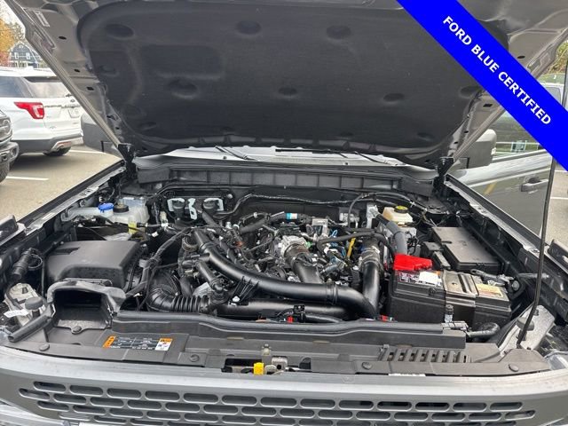 Certified 2024 Ford Bronco Badlands image 14