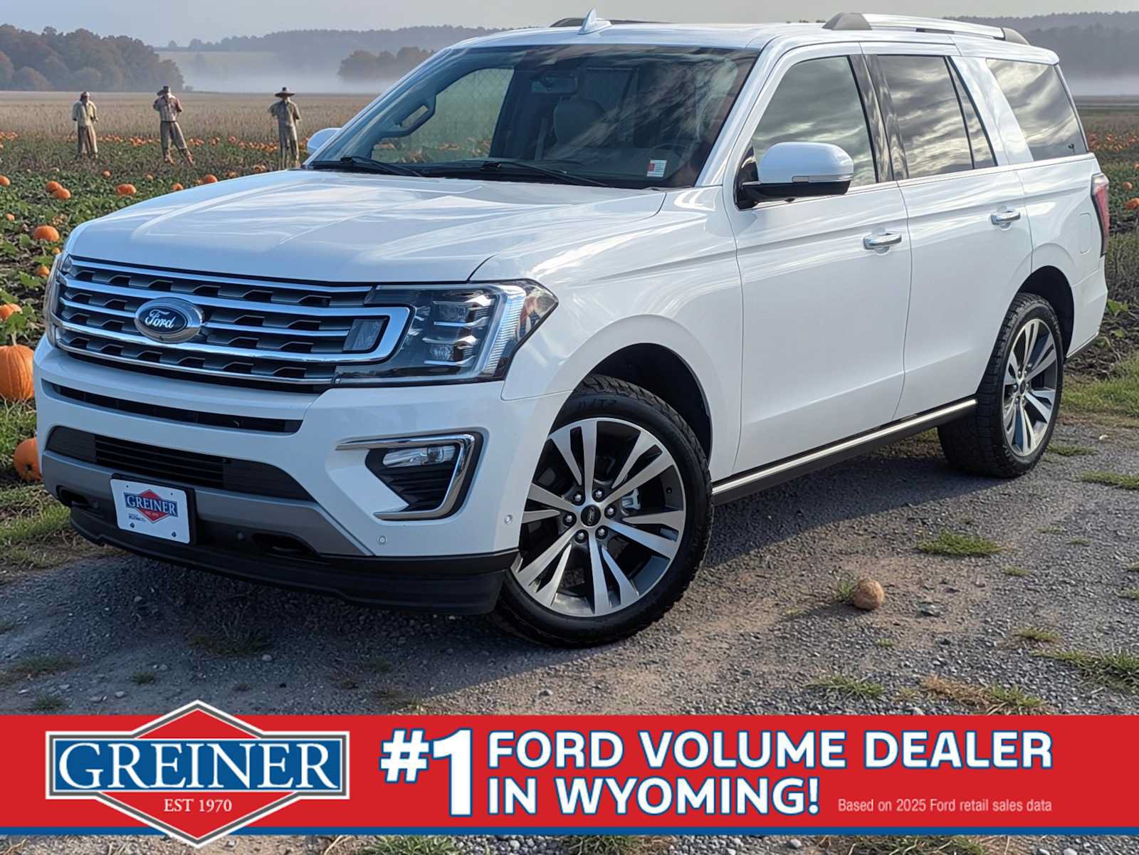 Used 2021 Ford Expedition Limited