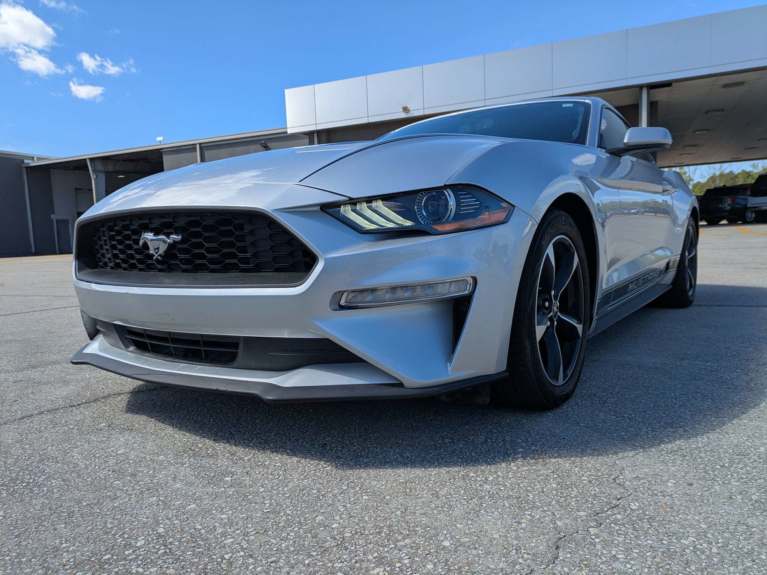 Used 2019 Ford Mustang EcoBoost image 8