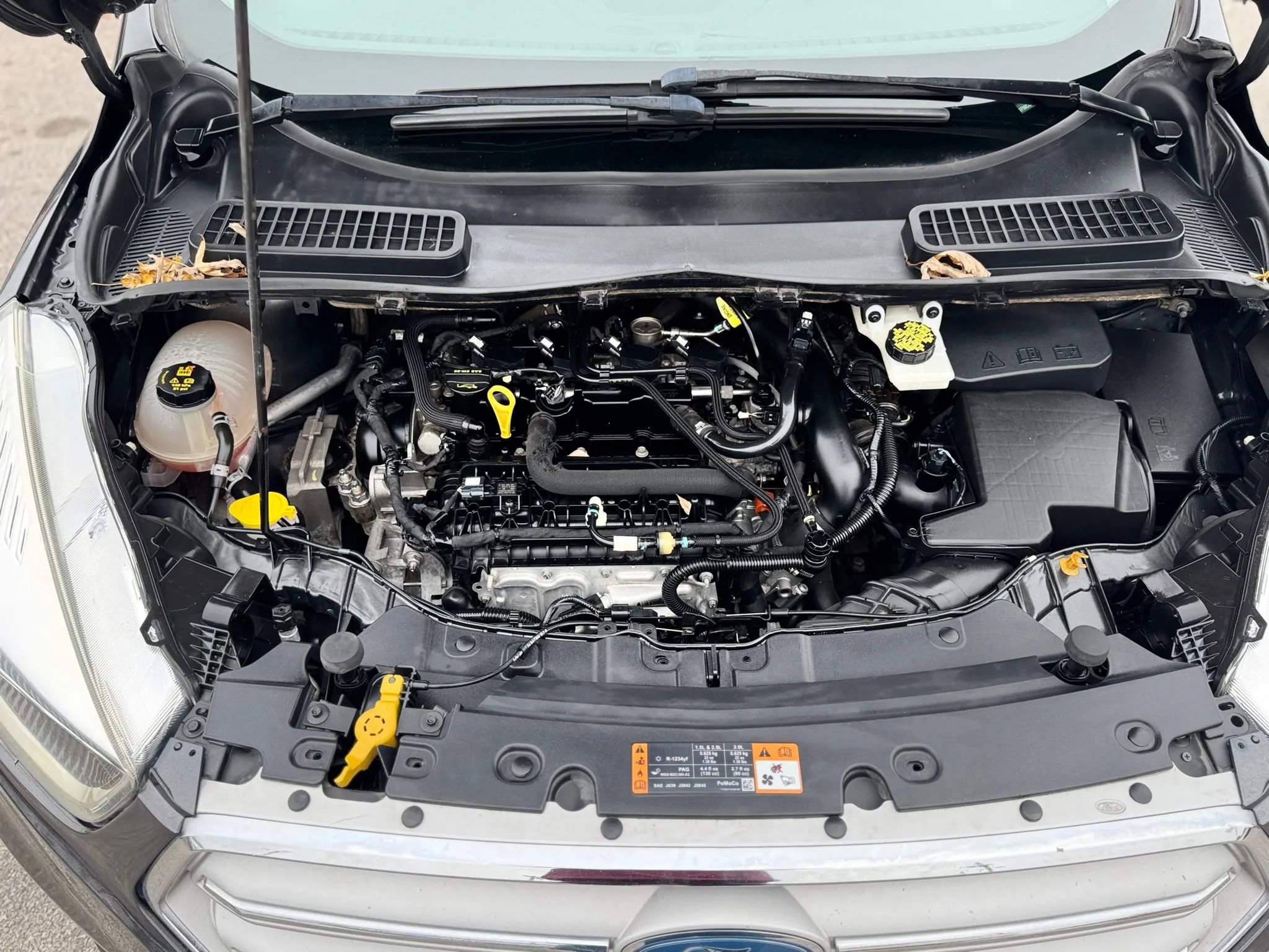 Used 2019 Ford Escape SE image 31