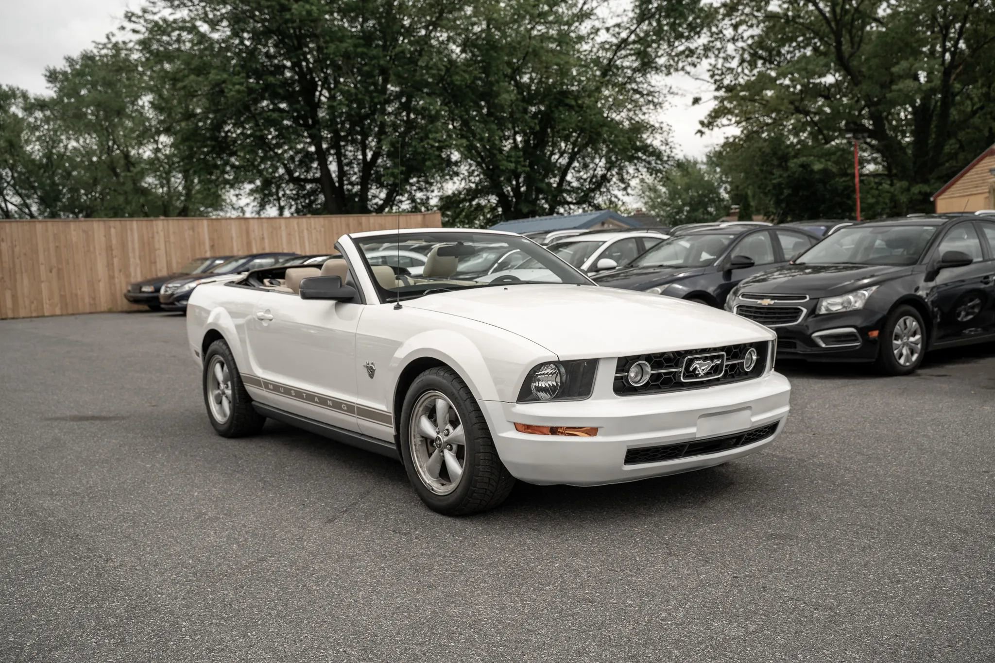 Used 2009 Ford Mustang Convertible RWD image 4
