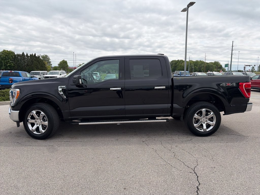 Used 2023 Ford F150 XLT w/ Equipment Group 302A High AWD/4WD image 4