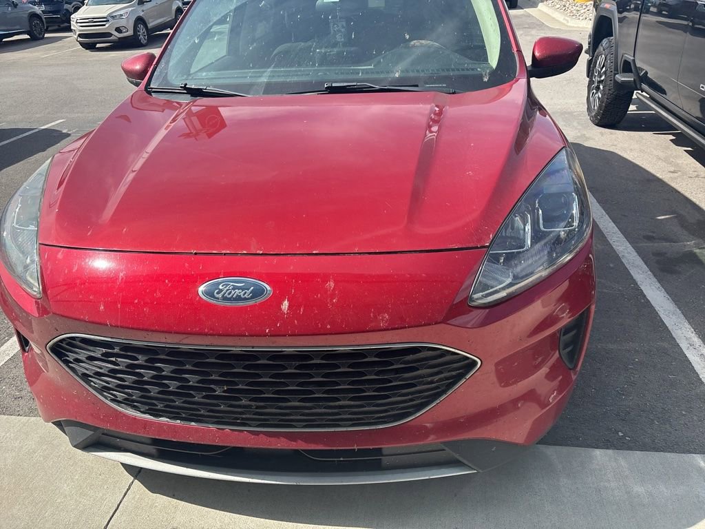 Used 2020 Ford Escape SE image 2