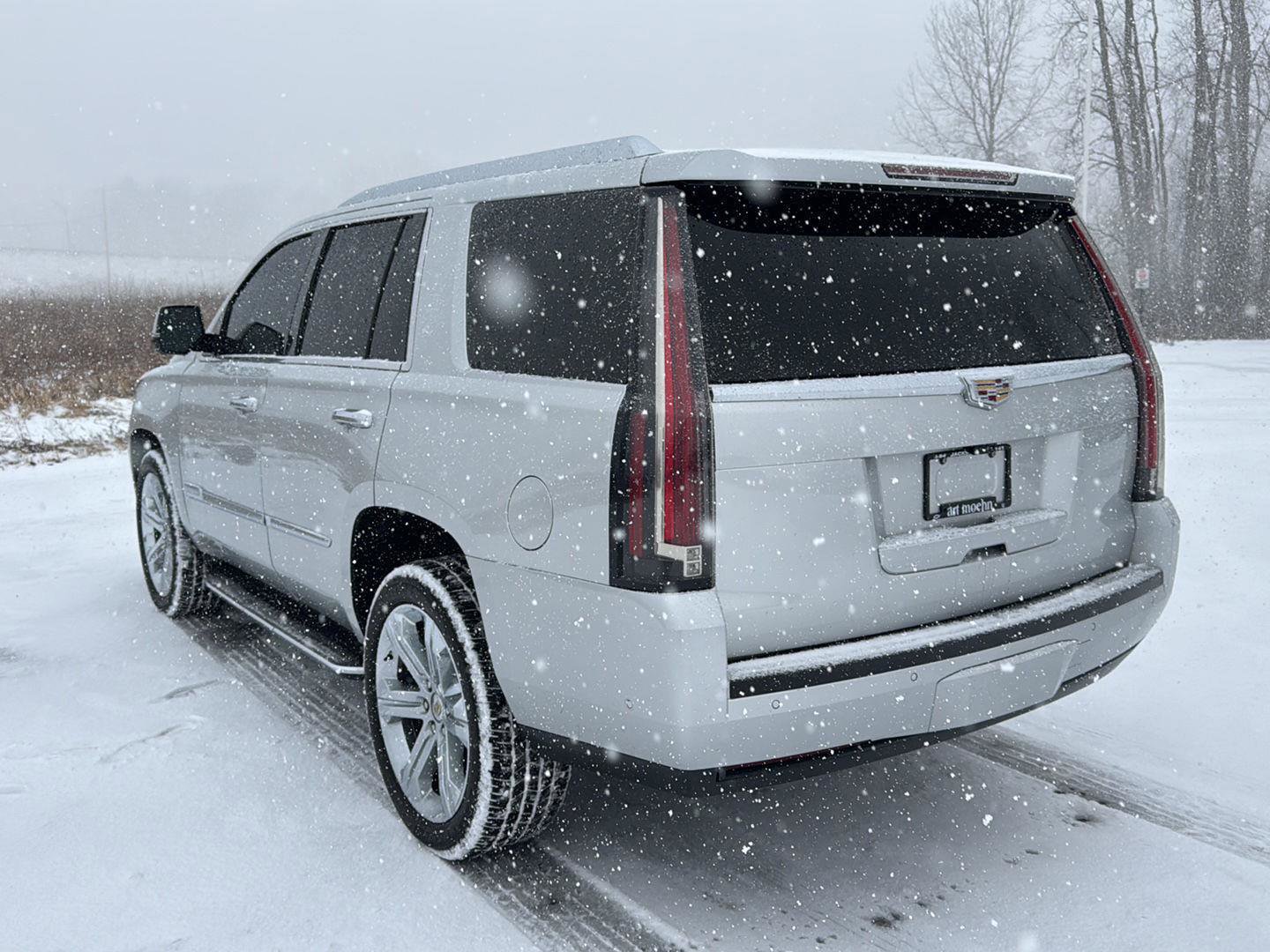 Used 2017 Cadillac Escalade Luxury image 3