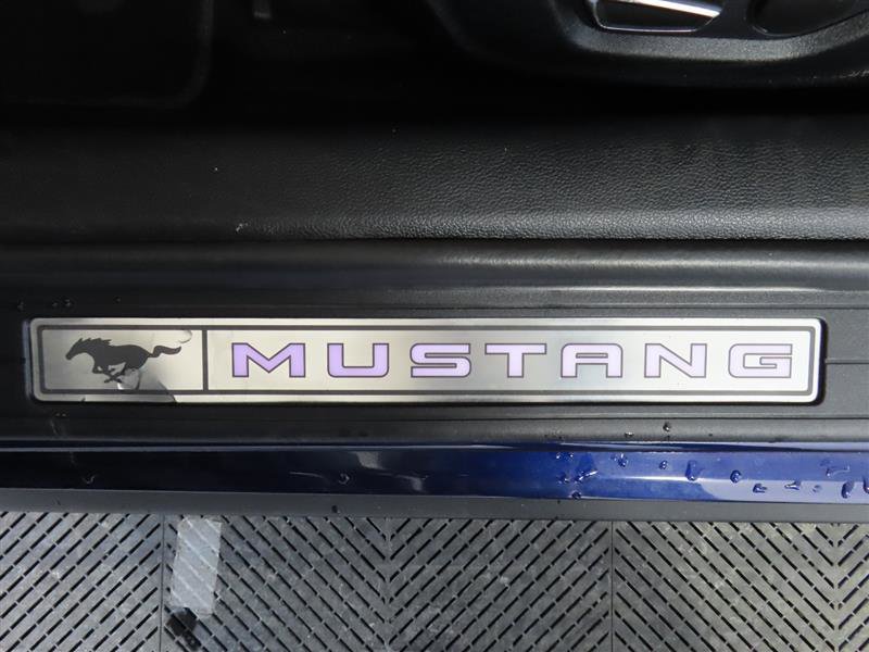 Used 2019 Ford Mustang GT Premium w/ GT Performance Package image 13