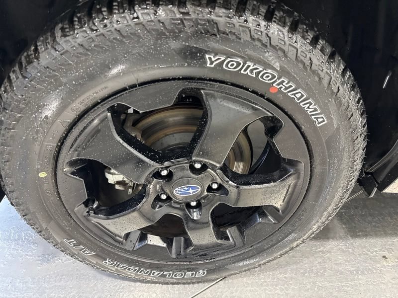 Used 2024 Subaru Forester Wilderness AWD/4WD image 8