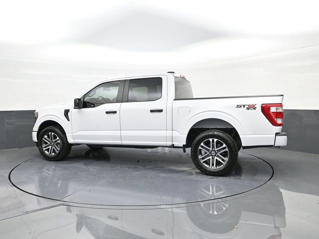 Used 2023 Ford F150 XL w/ STX Appearance Package image 5