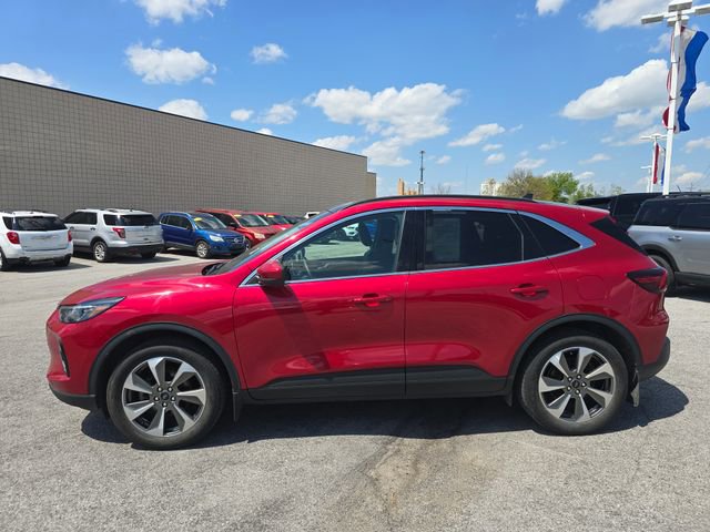 Used 2023 Ford Escape Platinum w/ Class II Trailer Tow Package AWD/4WD image 8
