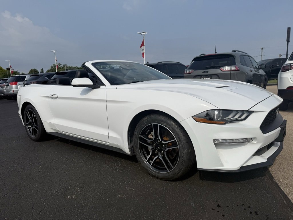 Used 2023 Ford Mustang Premium image 4
