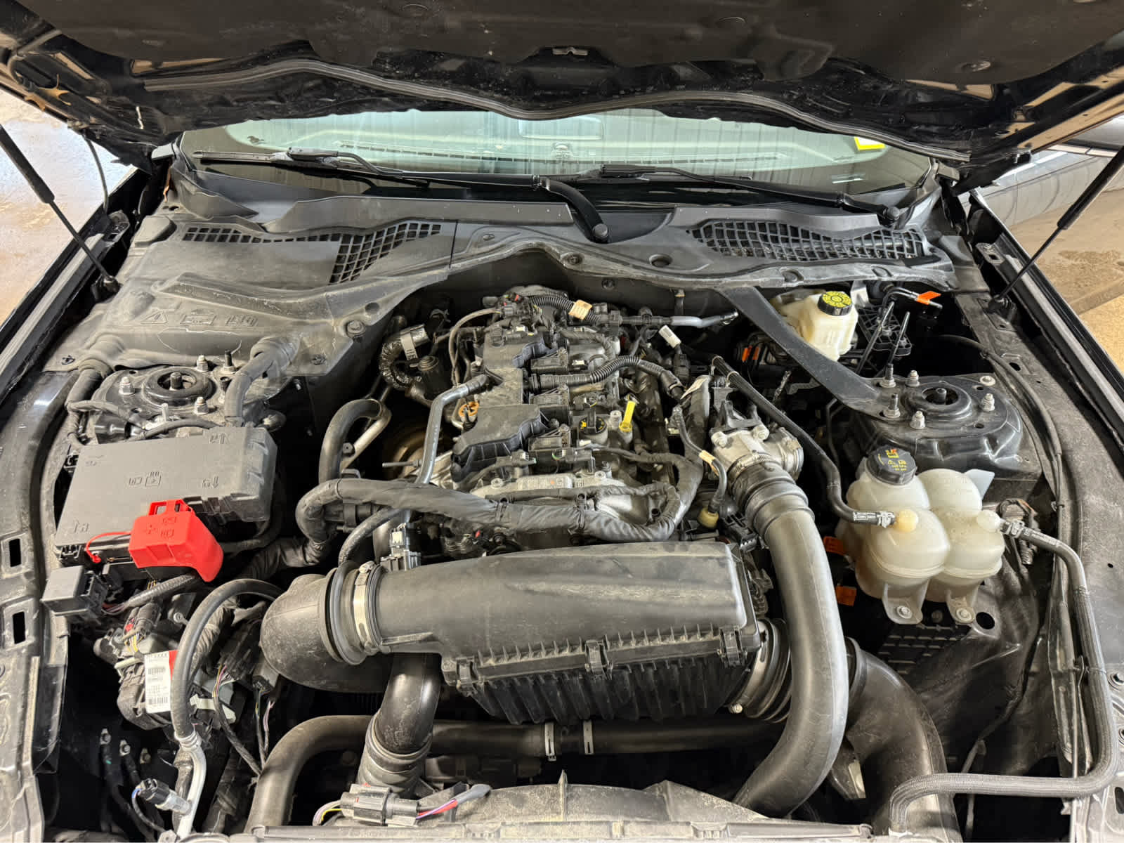 Used 2024 Ford Mustang Premium image 19