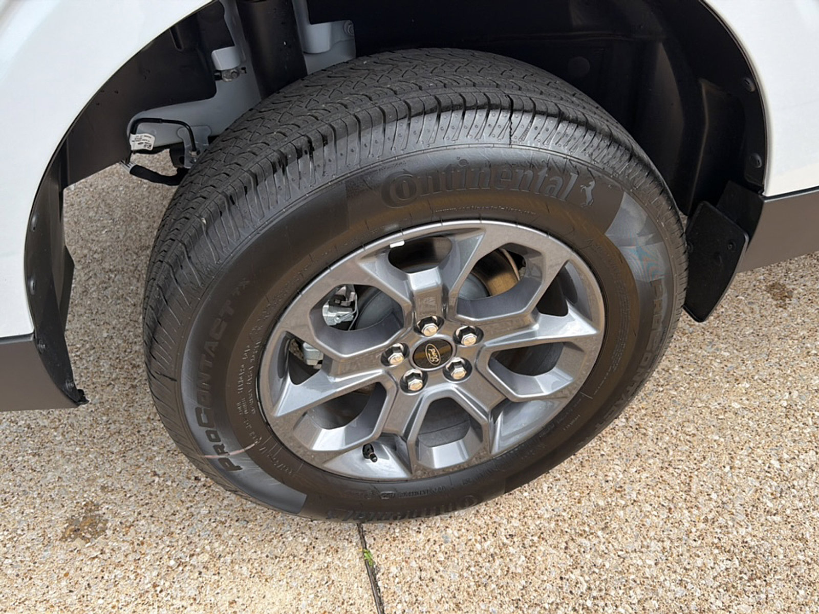 Used 2025 Ford Maverick XLT w/ Equipment Group 302A image 10