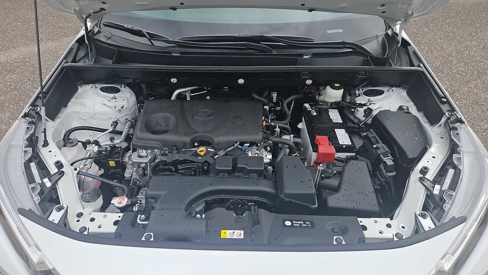 Used 2025 Toyota RAV4 XLE Premium image 18