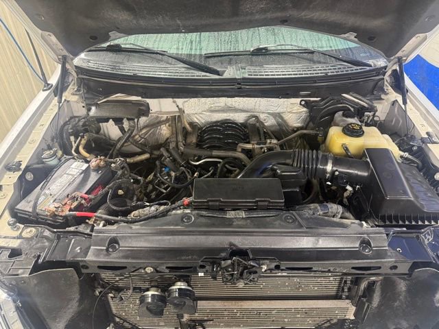 Used 2011 Ford F150 Platinum image 11