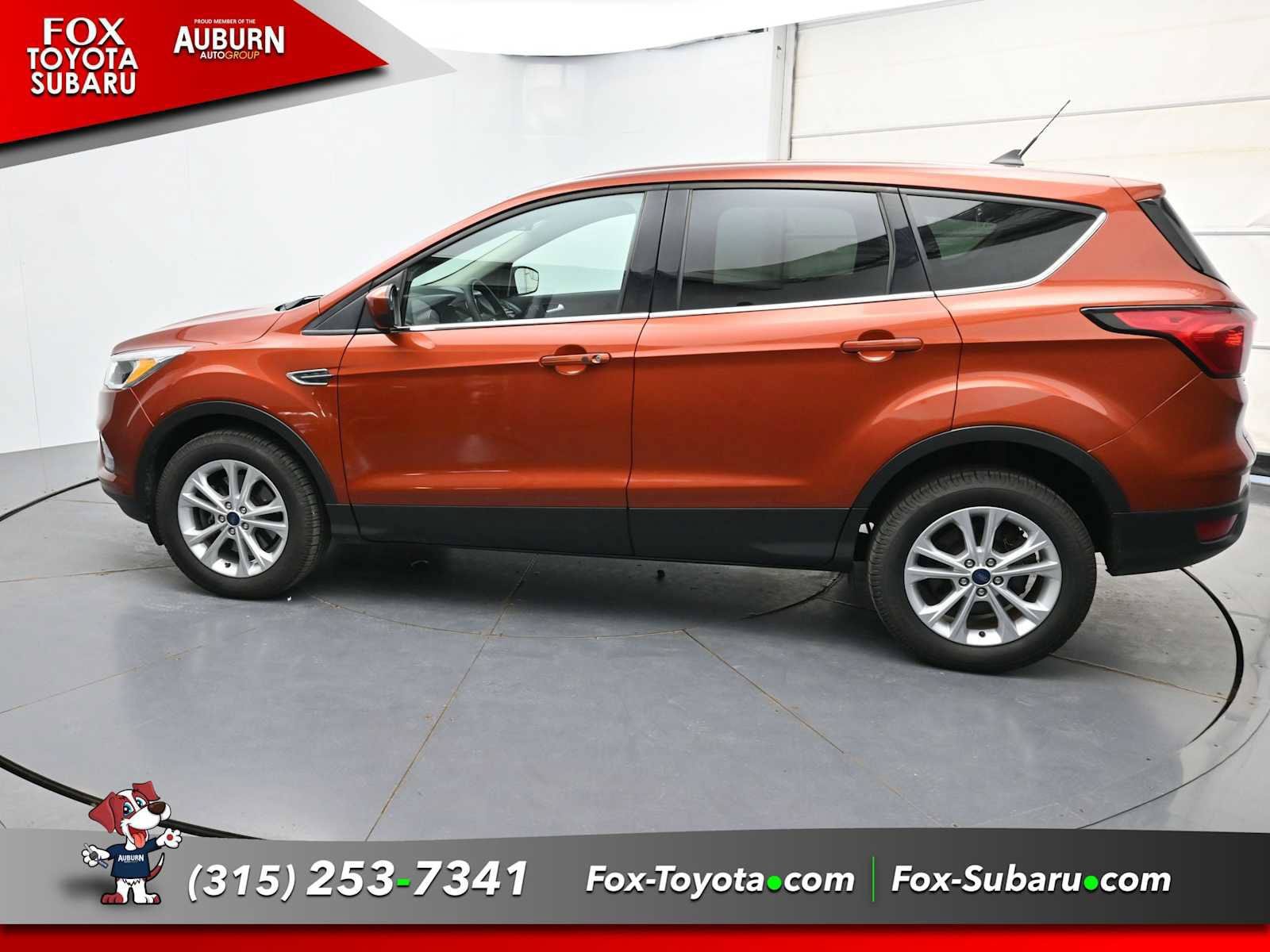 Used 2019 Ford Escape SE AWD/4WD image 18