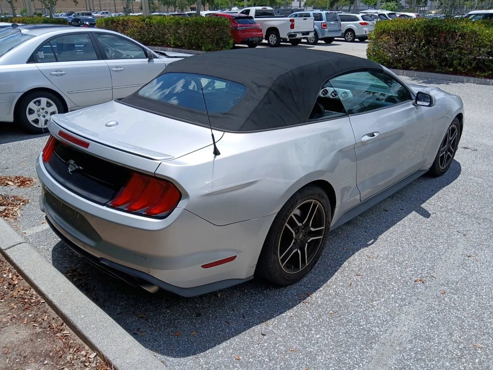 Used 2019 Ford Mustang Premium RWD image 2