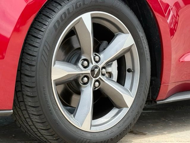 Used 2015 Ford Mustang Coupe w/ Equipment Group 051A RWD image 12