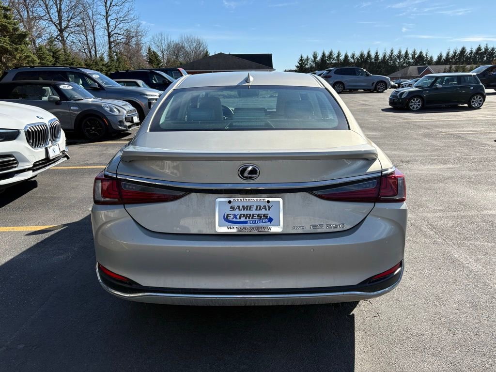 Used 2023 Lexus ES 250 w/ Premium Package image 5