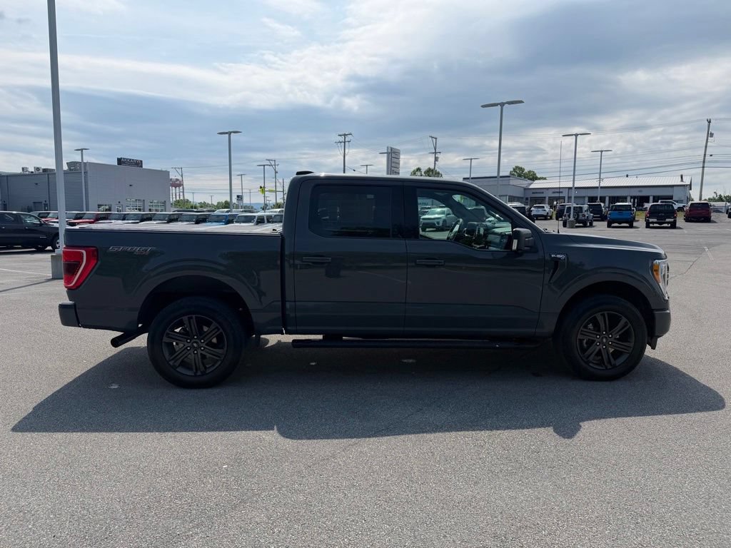 Used 2021 Ford F150 XLT w/ Equipment Group 302A High AWD/4WD image 6