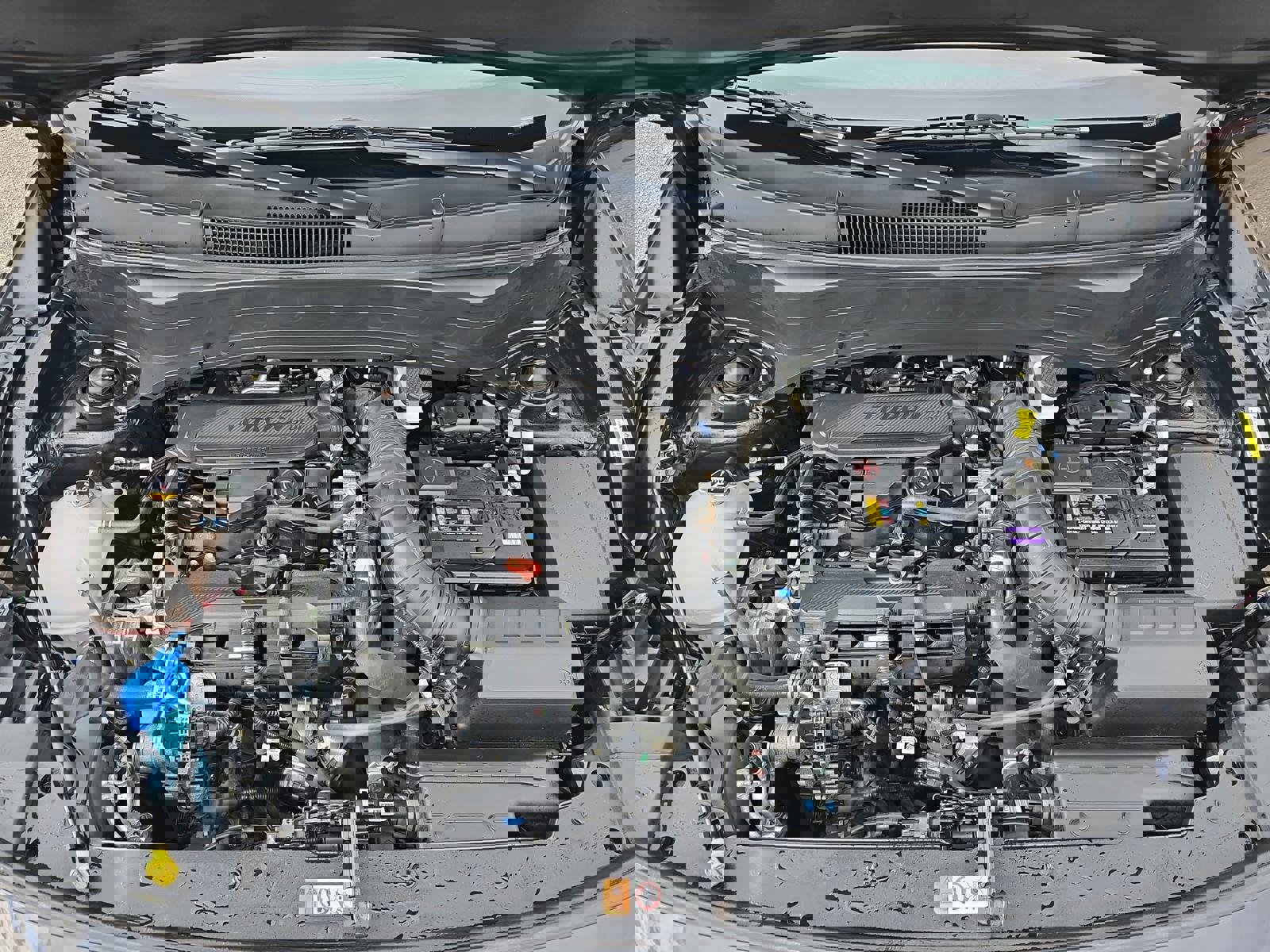 Used 2024 Kia Seltos SX w/ SX Sunroof Package image 32