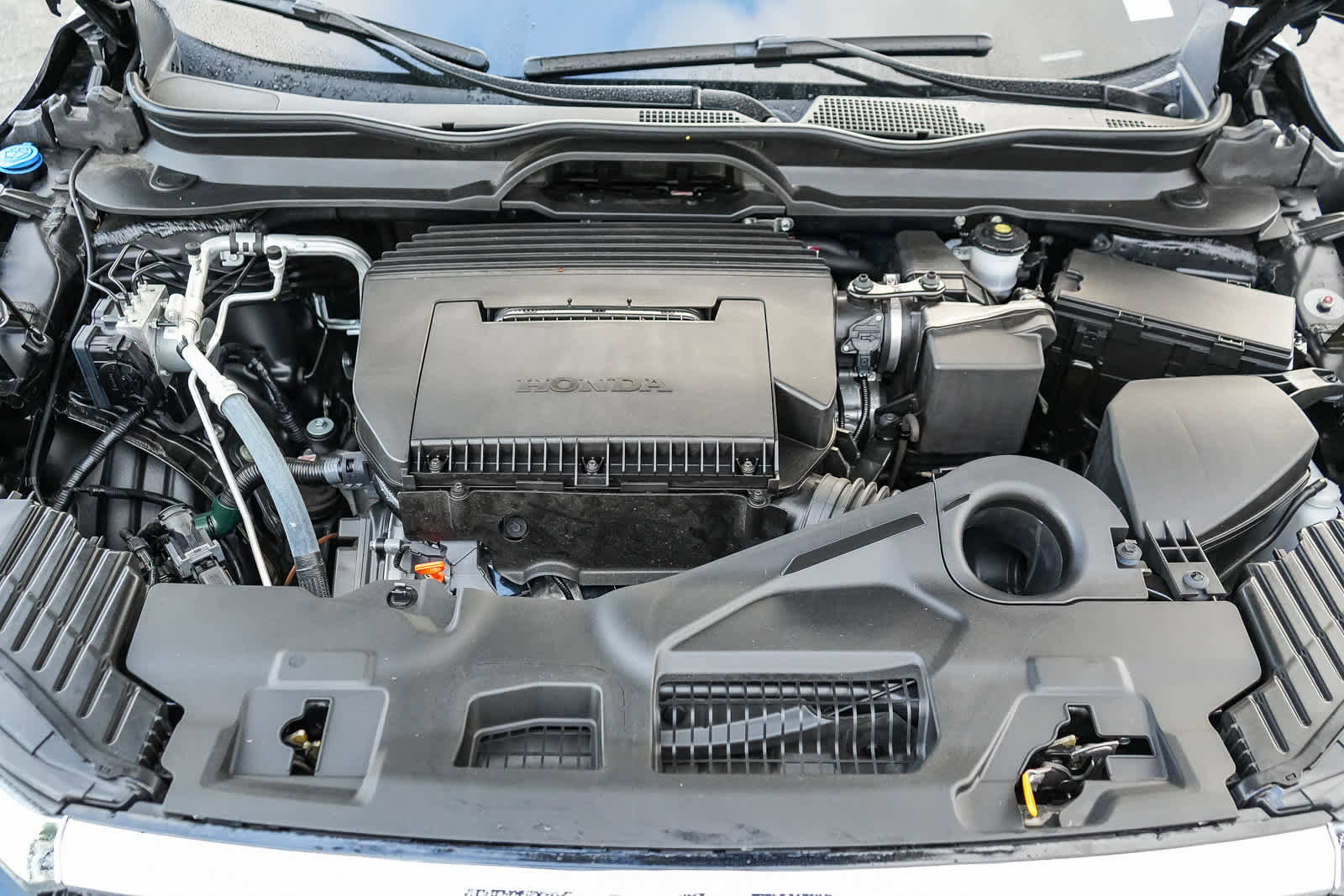 Used 2025 Honda Pilot Elite image 26