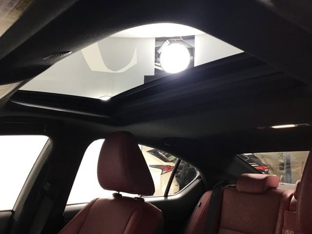 Used 2023 Lexus IS 300 AWD w/ Premium Package image 14