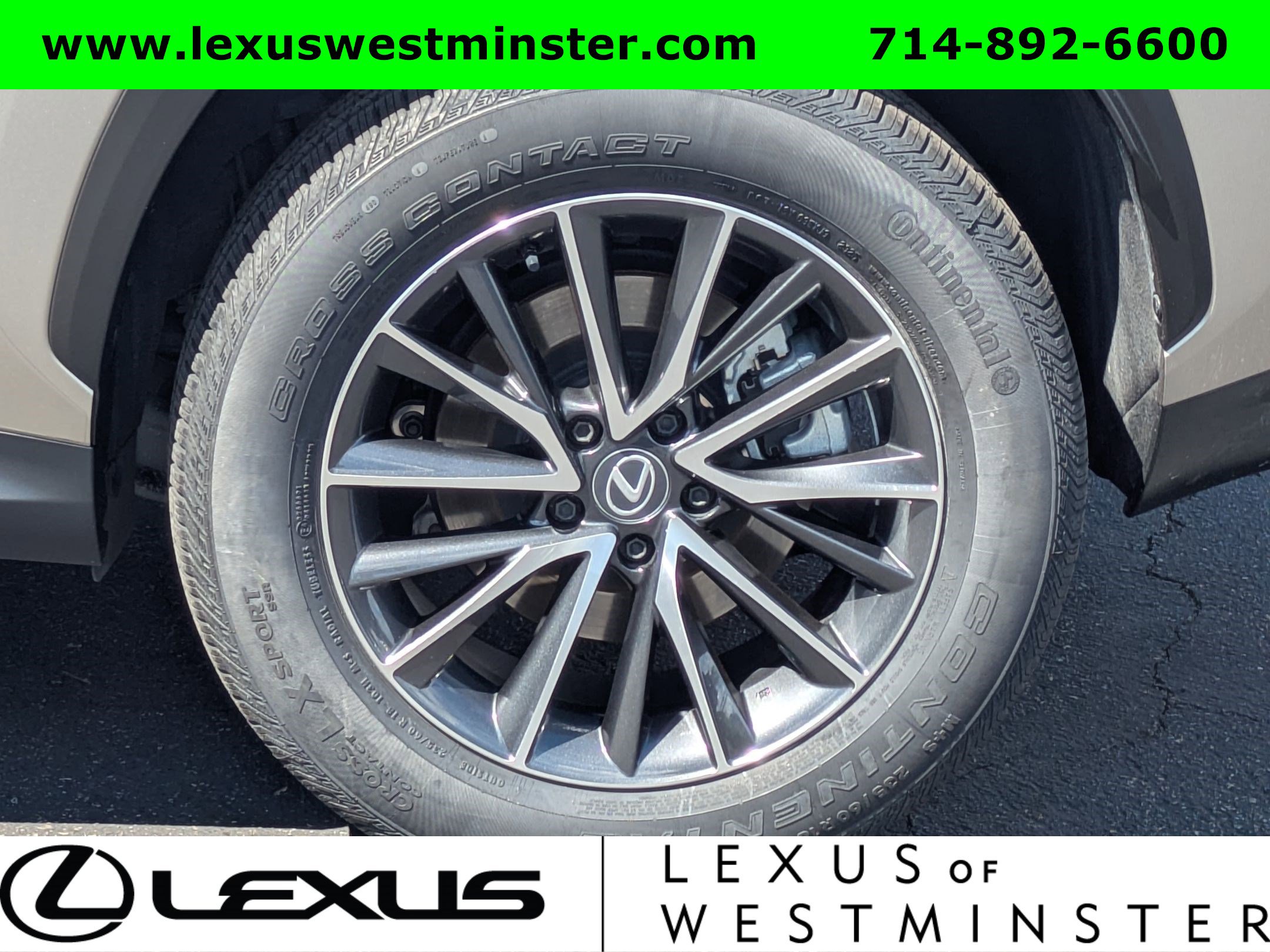 Certified 2024 Lexus NX 250 FWD image 13