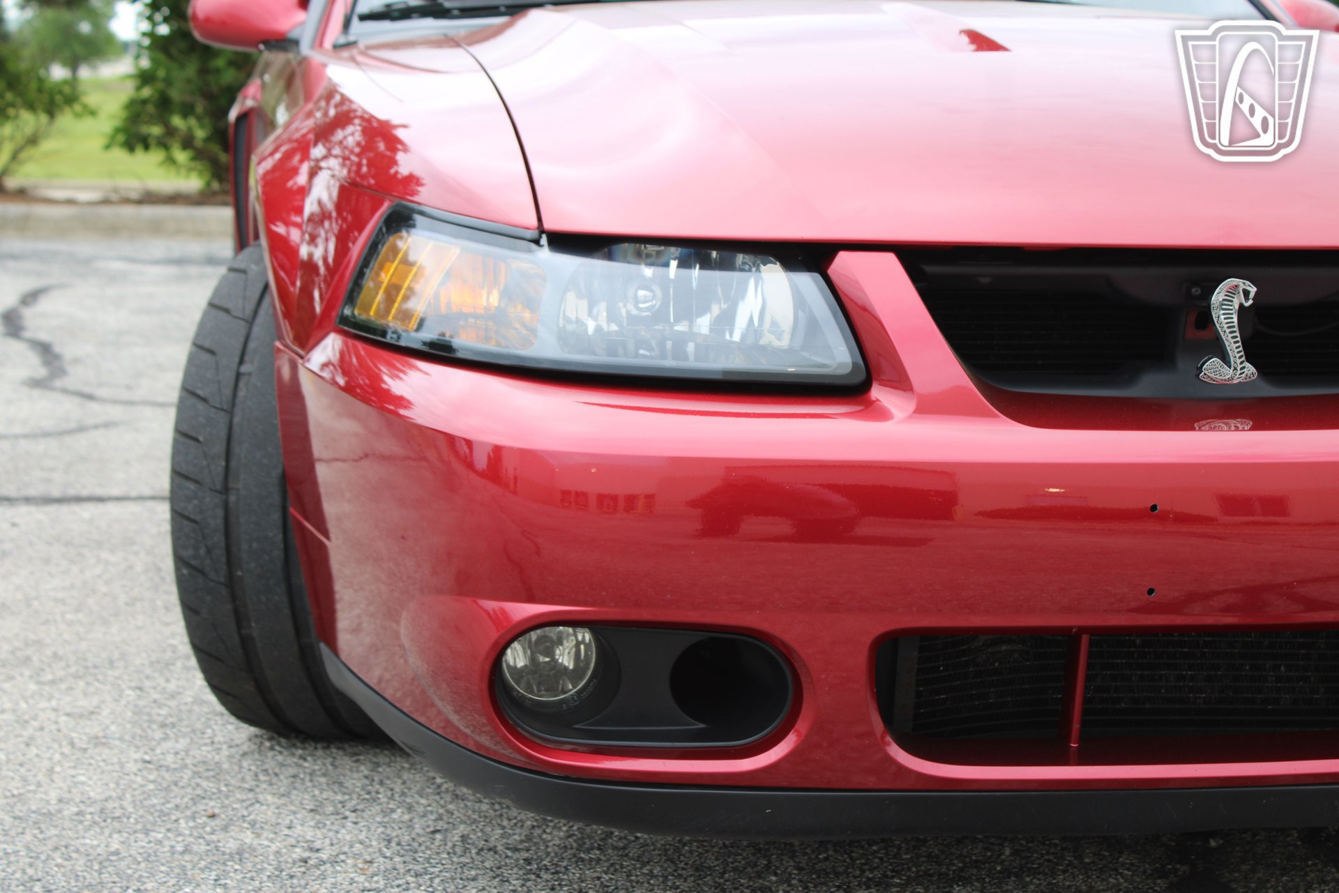 Used 2003 Ford Mustang Cobra RWD image 39