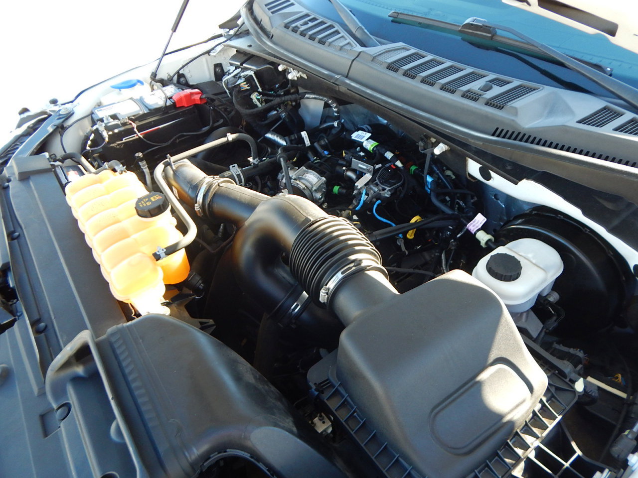 Used 2020 Ford F150 XL w/ Equipment Group 101A Mid image 21