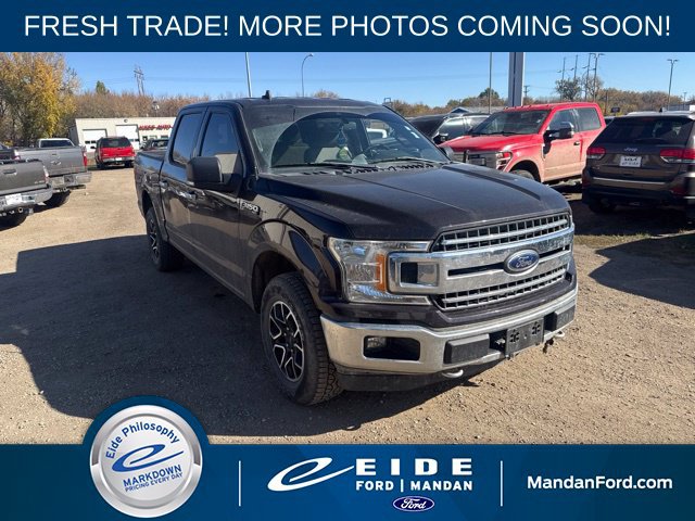 Used 2019 Ford F150 XLT w/ Equipment Group 302A Luxury AWD/4WD image 1
