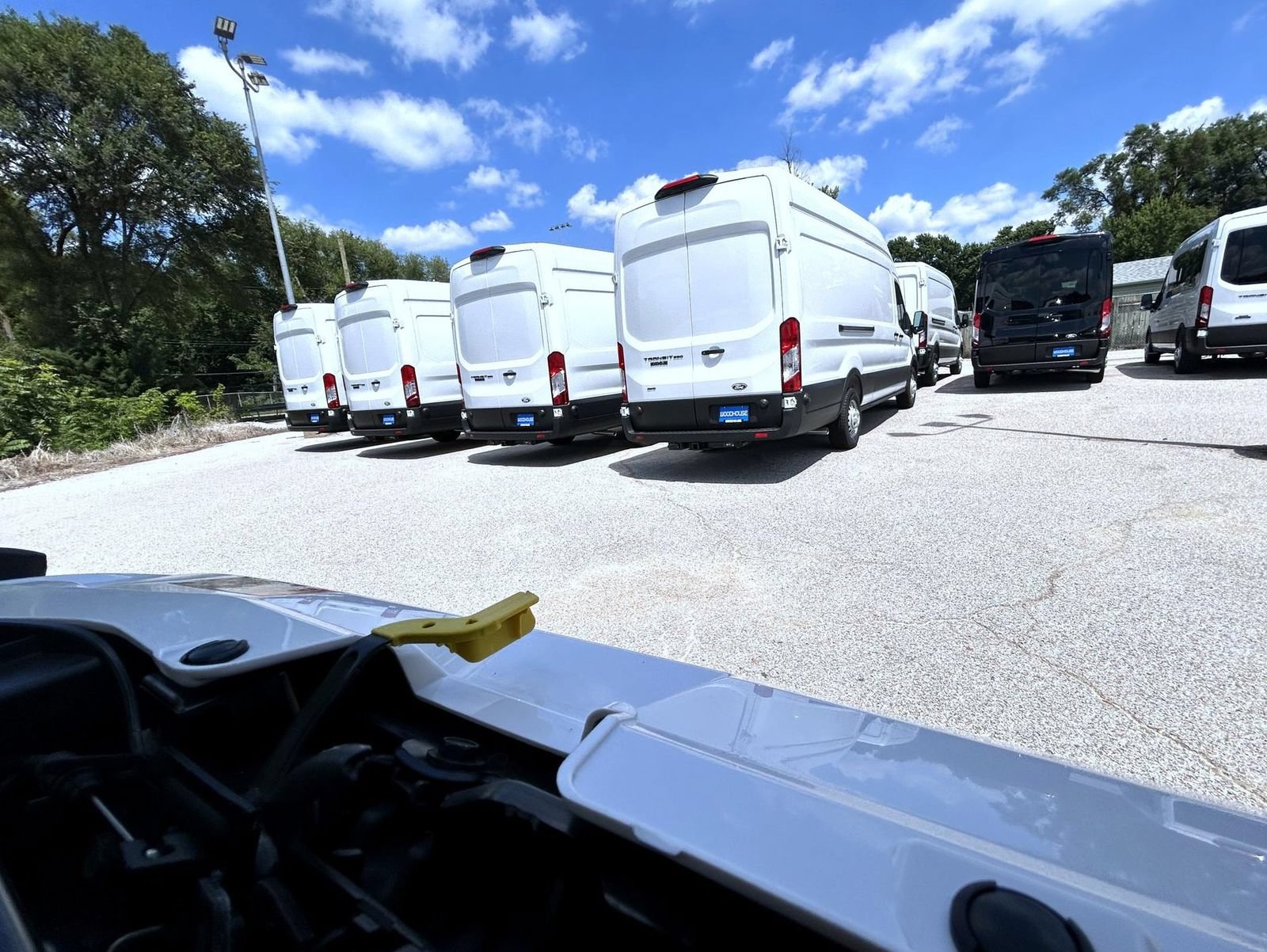 New 2026 Ford Transit 250 148 Medium Roof w/ Load Area Protection Package RWD image 23