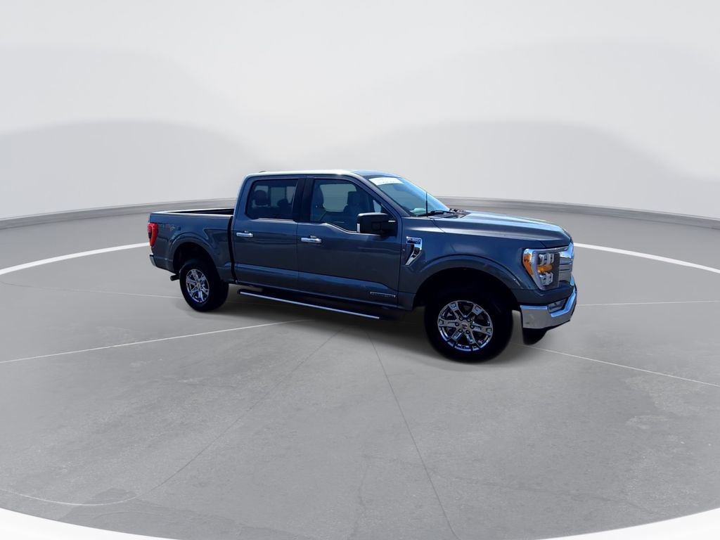 Used 2023 Ford F150 XLT w/ Equipment Group 302A High image 2