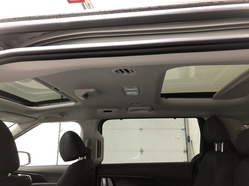 New 2026 Kia Carnival SX Prestige image 20