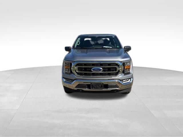 Used 2023 Ford F150 XLT w/ Equipment Group 302A High AWD/4WD image 2