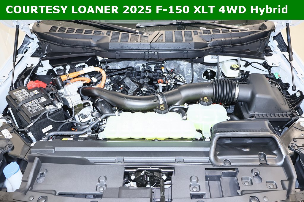 New 2025 Ford F150 XLT w/ Equipment Group 302A MID image 32