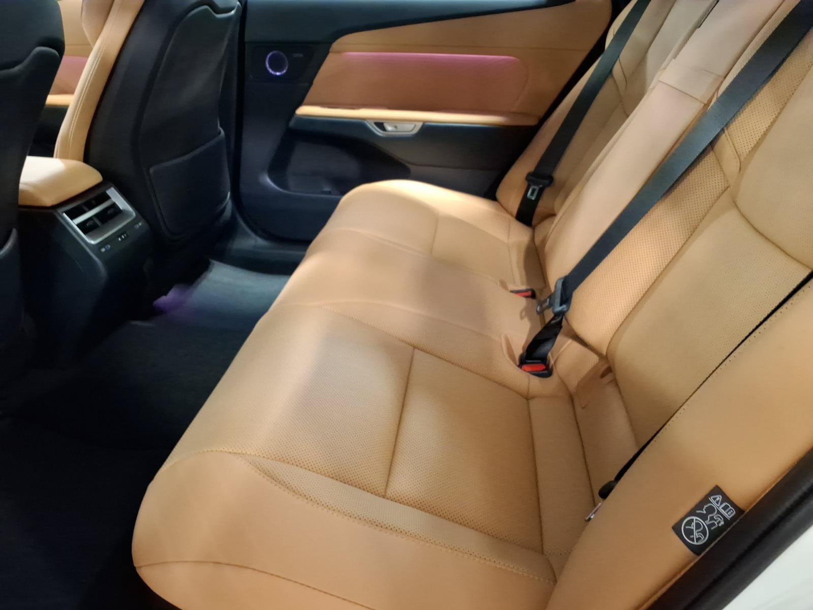 New 2026 Lexus ES 350h AWD w/ Cold Area Package image 12