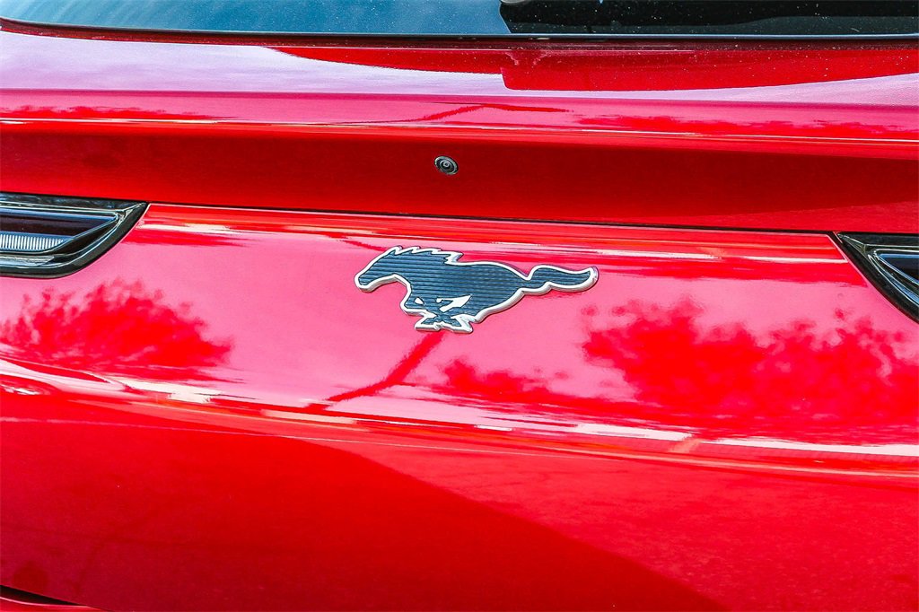 Used 2021 Ford Mustang Mach-E Premium image 12